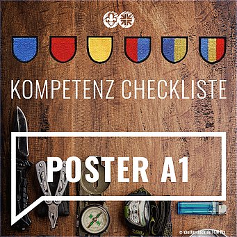 Curriculum Poster A1