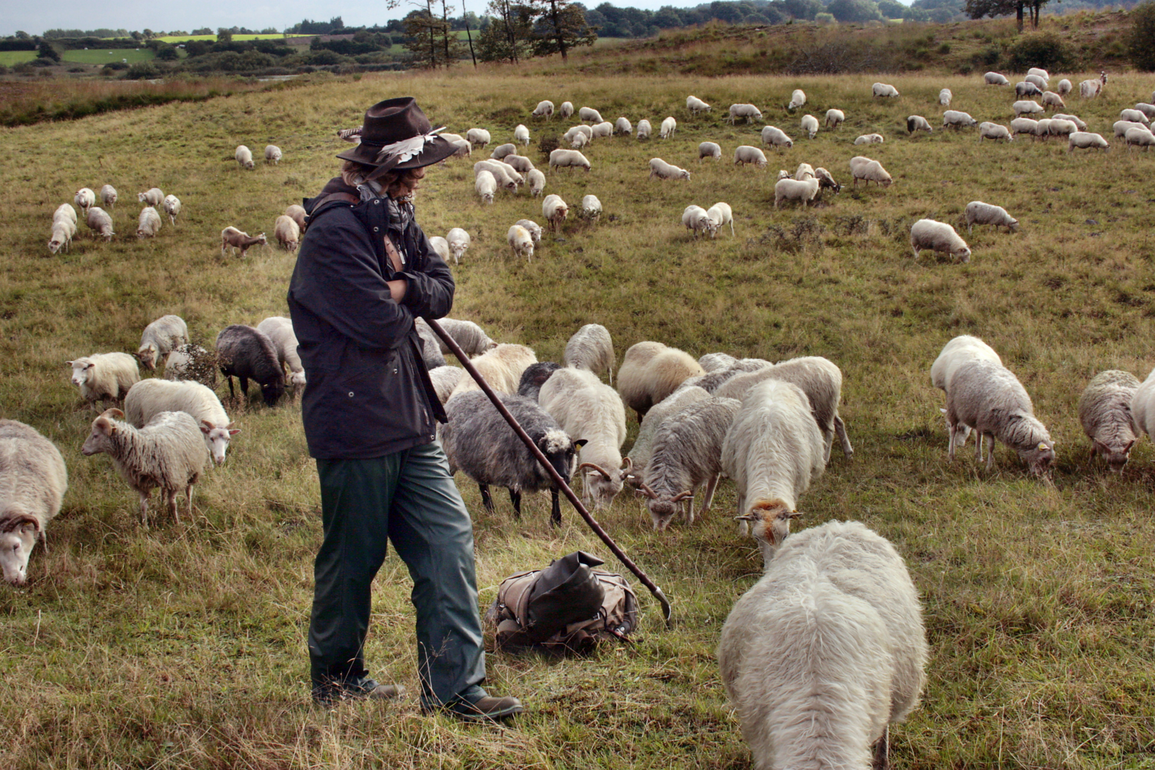 Angedacht - Echt Schaf!